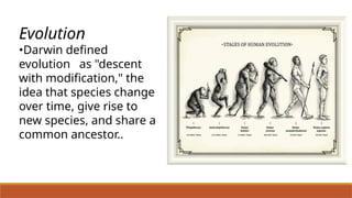Concept-of-Evolution power point presentation | PPTX