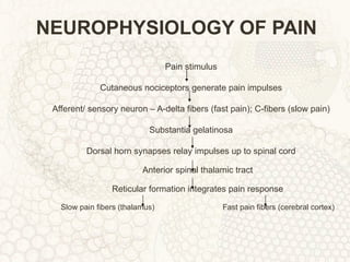 NEUROPHYSIOLOGY OF PAIN Pain stimulus Cutaneous nociceptors generate pain impulses Afferent/ sensory neuron – A-delta fibers (fast pain); C-fibers (slow pain) Substantia gelatinosa Dorsal horn synapses relay impulses up to spinal cord Anterior spinal thalamic tract Reticular formation integrates pain response Slow pain fibers (thalamus) Fast pain fibers (cerebral cortex) 
