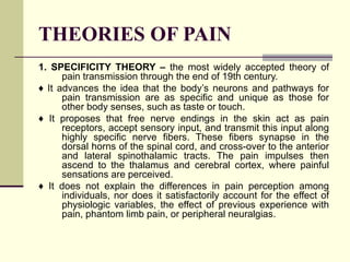 THEORIES OF PAIN 1. SPECIFICITY THEORY –  the most widely accepted theory of pain transmission through the end of 19th century. ♦  It advances the idea that the body’s neurons and pathways for pain transmission are as specific and unique as those for other body senses, such as taste or touch. ♦  It proposes that free nerve endings in the skin act as pain receptors, accept sensory input, and transmit this input along highly specific nerve fibers. These fibers synapse in the dorsal horns of the spinal cord, and cross-over to the anterior and lateral spinothalamic tracts. The pain impulses then ascend to the thalamus and cerebral cortex, where painful sensations are perceived. ♦  It does not explain the differences in pain perception among individuals, nor does it satisfactorily account for the effect of physiologic variables, the effect of previous experience with pain, phantom limb pain, or peripheral neuralgias. 