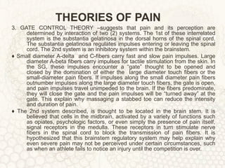 THEORIES OF PAIN 3. GATE CONTROL THEORY –suggests that pain and its perception are determined by interaction of two (2) systems. The 1st of these interrelated system is the substantia gelatinosa in the dorsal horns of the spinal cord. The substantia gelatinosa regulates impulses entering or leaving the spinal cord. The 2nd system is an inhibitory system within the brainstem. ♦  Small diameter A-delta  and C-fibers carry fast and slow pain impulses. Large diameter A-beta fibers carry impulses for tactile stimulation from the skin. In the SG, these impulses encounter a “gate” thought to be opened and closed by the domination of either the  large diameter touch fibers or the small-diameter pain fibers. If impulses along the small diameter pain fibers outnumber impulses along the large diameter touch fibers, the gate is open, and pain impulses travel unimpeded to the brain. If the fibers predominate, they will close the gate and the pain impulses will be “turned away” at the gate. This explain why massaging a stabbed toe can reduce the intensity and duration of pain. ♦  The 2nd system described, is thought to be located in the brain stem. It is believed that cells in the midbrain, activated by a variety of functions such as opiates, psychologic factors, or even simply the presence of pain itself, signal receptors in the medulla. These receptors in turn stimulate nerve fibers in the spinal cord to block the transmission of pain fibers. It is hypothesized that this brainstem regulatory system may help explain why even severe pain may not be perceived under certain circumstances, such as when an athlete fails to notice an injury until the competition is over. 