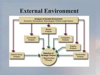 External Environment  