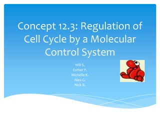 Concept 12.3: Regulation of
 Cell Cycle by a Molecular
      Control System
             Will S.
            Esther P.
           Michelle K.
             Alex G.
             Nick B.
 