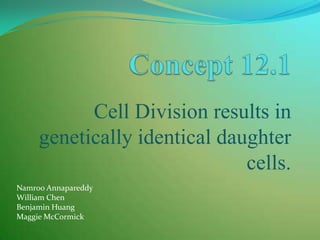 Cell Division results in
     genetically identical daughter
                              cells.
Namroo Annapareddy
William Chen
Benjamin Huang
Maggie McCormick
 