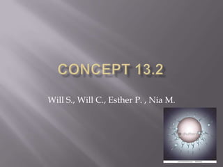Will S., Will C., Esther P. , Nia M.
 