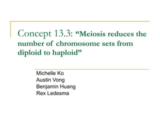 Concept 13.3:  “Meiosis reduces the number of chromosome sets from diploid to haploid” Michelle Ko Austin Vong Benjamin Huang Rex Ledesma 