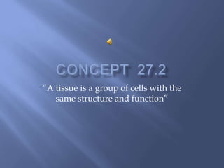 Concept  27.2 “A tissueis a group of cellswiththesamestructure and function” 