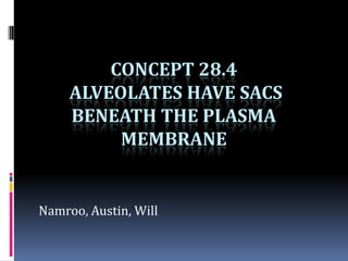 CONCEPT 28.4
     ALVEOLATES HAVE SACS
     BENEATH THE PLASMA
          MEMBRANE


Namroo, Austin, Will
 