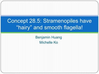 Concept 28.5: Stramenopiles have
   “hairy” and smooth flagella!
          Benjamin Huang
            Michelle Ko
 