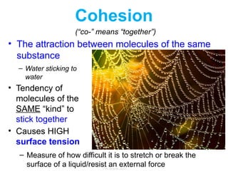 Concept 2 Notes - Chemistry of Life.pptx