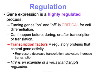 • Gene expression is a highly regulated
process.
– Turning genes “on” and “off” is CRITICAL for cell
differentiation.
– Can happen before, during, or after transcription
or translation.
– Transcription factors = regulatory proteins that
control gene activity
• Repressors decrease transcription, activators increase
transcription
– HIV is an example of a virus that disrupts
regulation.
Regulation
 