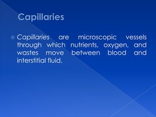 CapillariesCapillaries are microscopic vessels through which nutrients, oxygen, and wastes move between blood and interstitial fluid.