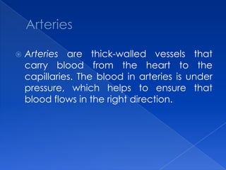 ArteriesArteries are thick-walled vessels that carry blood from the heart to the capillaries. The blood in arteries is under pressure, which helps to ensure that blood flows in the right direction.