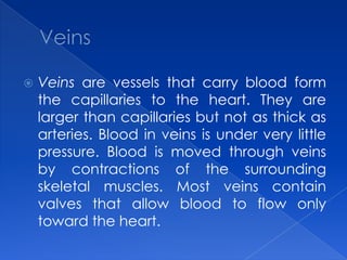 VeinsVeins are vessels that carry blood form the capillaries to the heart. They are larger than capillaries but not as thick as arteries. Blood in veins is under very little pressure. Blood is moved through veins by contractions of the surrounding skeletal muscles. Most veins contain valves that allow blood to flow only toward the heart.