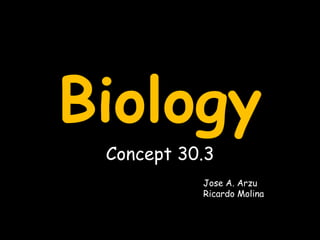 Biology Concept 30.3 Jose A. Arzu Ricardo Molina 