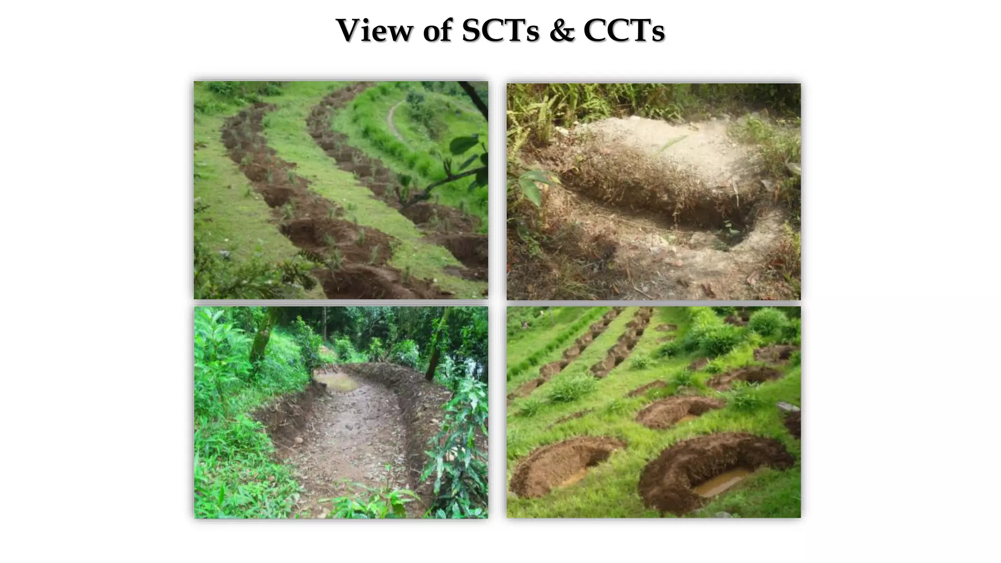 View of SCTs & CCTs
 