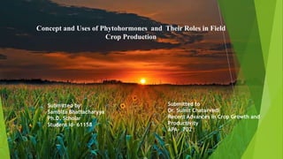 Concept and Uses of Phytohormones and Their Roles in Field
Crop Production
Submitted by
Sambita Bhattacharyya
Ph.D. Scholar
Student Id- 61158
Submitted to
Dr. Sumit Chaturvedi
Recent Advances in Crop Growth and
Productivity
APA- 702
 