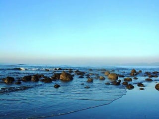 Concept, approach, history, trend