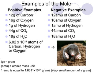 Examples of the Mole Positive Examples 12g of Carbon 16g of Oxygen 1g of Hydrogen 44g of CO 2 18g of H 2 O  6.02 x 10 23  atoms of Carbon, Hydrogen or Oxygen Negative Examples 12amu of Carbon 16amu of Oxygen 1amu of Hydrogen 44amu of CO 2 18amu of H 2 O  (g) = gram (amu) = atomic mass unit 1 amu is equal to 1.6611x10 -24  grams ( very small  amount of a gram) 