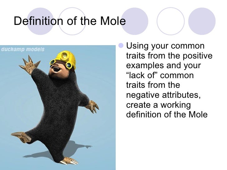 the-mole