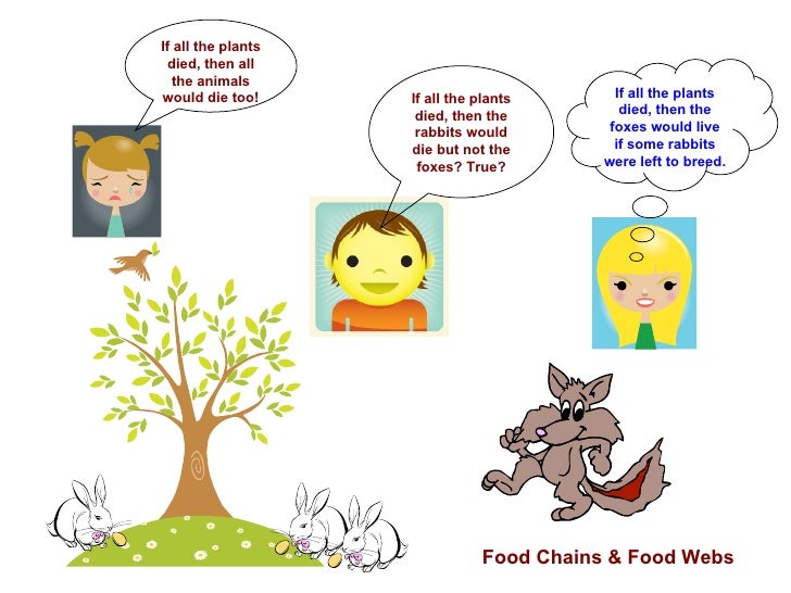 How Animals Eat Their Food Cartoon How Animals Eat Their Food Cartoon