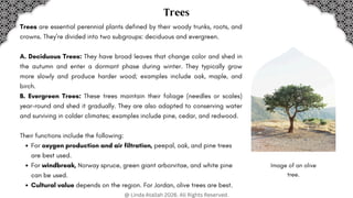 Environmental Design & Landscaping: Concept, Case Study, and Plant ...