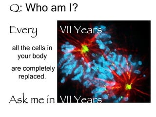 Dartmouth Medical School   Q : Who am I?   Every  VII Years all the cells in your body are completely replaced. Ask me in  VII Years 
