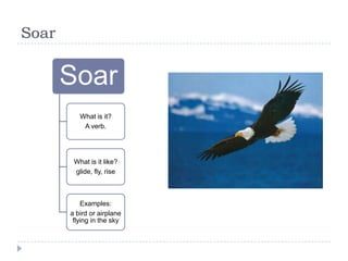 Soar


       Soar
          What is it?
           A verb.




        What is it like?
        glide, fly, rise



           Examples:
       a bird or airplane
        flying in the sky
 