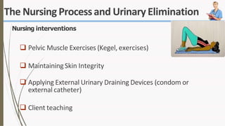 The Nursing Processand UrinaryElimination
Nursing interventions
 Pelvic Muscle Exercises (Kegel, exercises)
 MaintainingSkin Integrity
 Applying External Urinary Draining Devices (condom or
external catheter)
 Client teaching
 