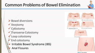 CommonProblemsof Bowel Elimination
Bowel diversions
 ileostomy
 Colostomy
 Transverse Colostomy
 Loop colostomy
 End colostomy
 Irritable Bowel Syndrome (IBS)
 Anal Fissures
 