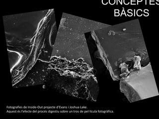 CONCEPTES
BÀSICS
Fotografies de Inside-Out projecte d’Evans i Joshua Lake.
Aquest és l’efecte del procés digestiu sobre un tros de pel·lícula fotogràfica.
 