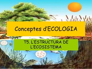 Conceptes d’ECOLOGIA

  T5. L’ESTRUCTURA DE
     L’ECOSISTEMA
 