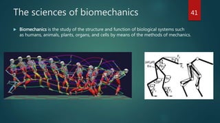 The sciences of biomechanics
 Biomechanics is the study of the structure and function of biological systems such
as humans, animals, plants, organs, and cells by means of the methods of mechanics.
41
 