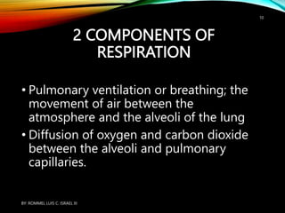 2 COMPONENTS OF
RESPIRATION
• Pulmonary ventilation or breathing; the
movement of air between the
atmosphere and the alveoli of the lung
• Diffusion of oxygen and carbon dioxide
between the alveoli and pulmonary
capillaries.
BY: ROMMEL LUIS C. ISRAEL III
10
 