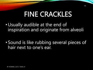 FINE CRACKLES
•Usually audible at the end of
inspiration and originate from alveoli
•Sound is like rubbing several pieces of
hair next to one’s ear.
BY: ROMMEL LUIS C. ISRAEL III
145
 