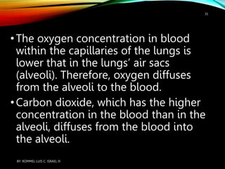 •The oxygen concentration in blood
within the capillaries of the lungs is
lower that in the lungs’ air sacs
(alveoli). Therefore, oxygen diffuses
from the alveoli to the blood.
•Carbon dioxide, which has the higher
concentration in the blood than in the
alveoli, diffuses from the blood into
the alveoli.
BY: ROMMEL LUIS C. ISRAEL III
35
 