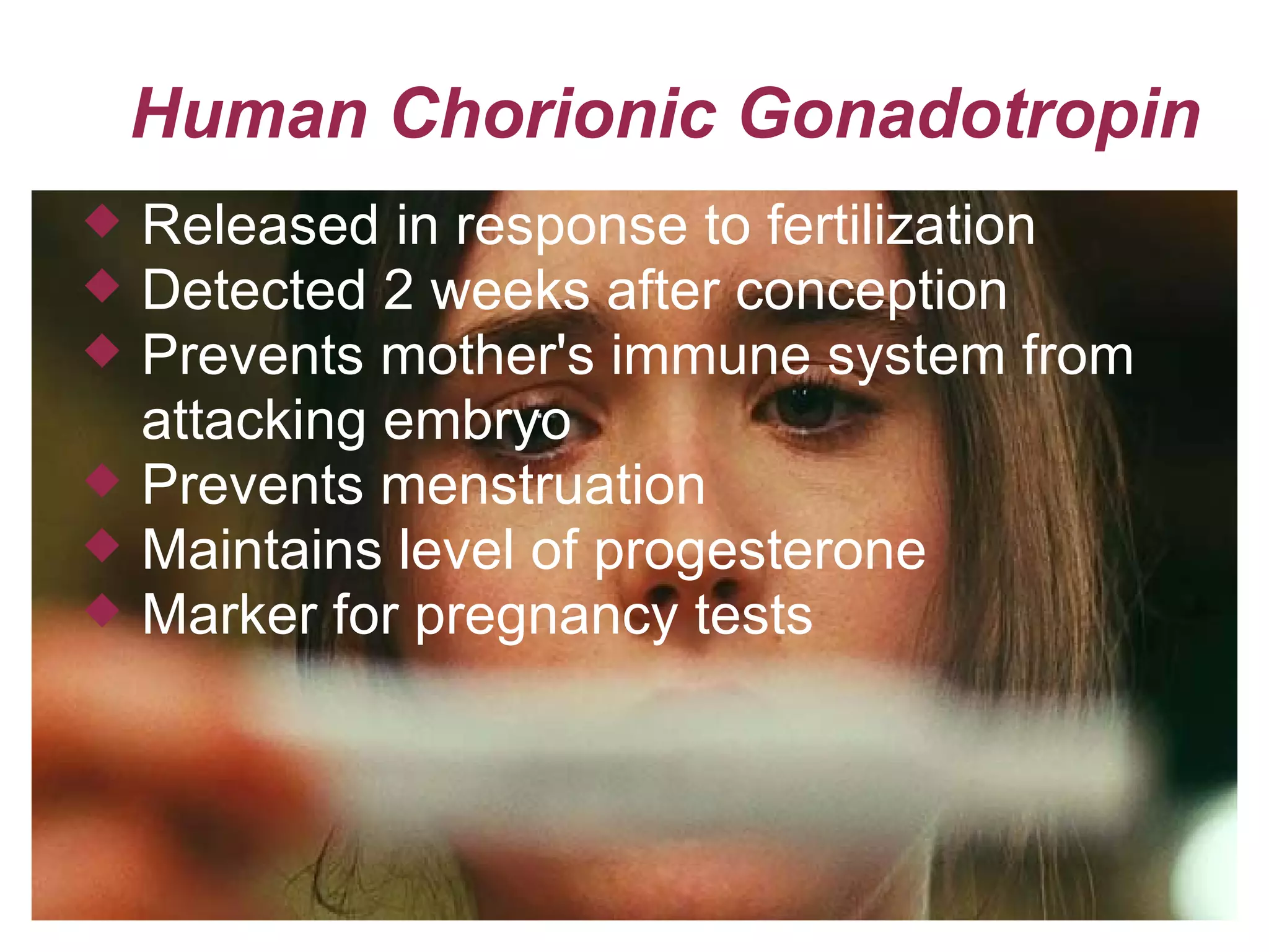 Human Chorionic Gonadotropin Released in response to fertilization Detected 2 weeks after conception Prevents mother's immune system from  attacking embryo Prevents menstruation Maintains level of progesterone  Marker for pregnancy tests 