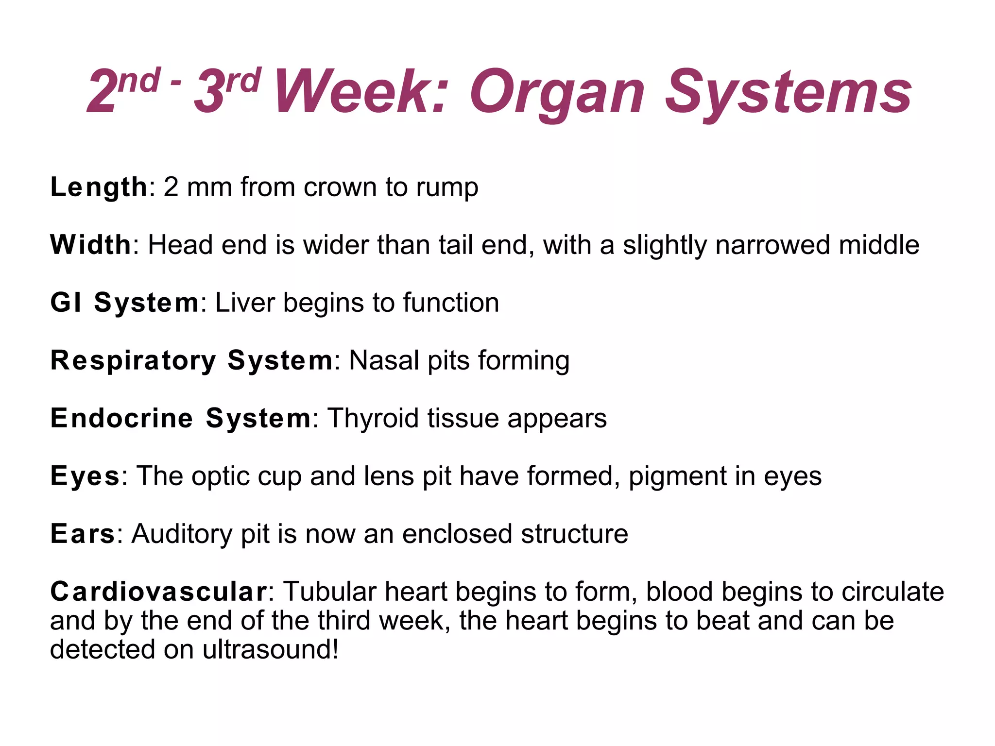 2 nd -  3 rd  Week: Organ Systems Length : 2 mm from crown to rump Width : Head end is wider than tail end, with a slightly narrowed middle GI System : Liver begins to function Respiratory System : Nasal pits forming Endocrine System : Thyroid tissue appears Eyes : The optic cup and lens pit have formed, pigment in eyes Ears : Auditory pit is now an enclosed structure Cardiovascular : Tubular heart begins to form, blood begins to circulate and by the end of the third week, the heart begins to beat and can be  detected on ultrasound! 