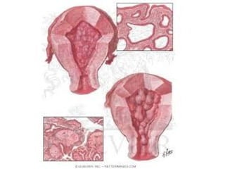 conception and adaptation to preg.pptx,,