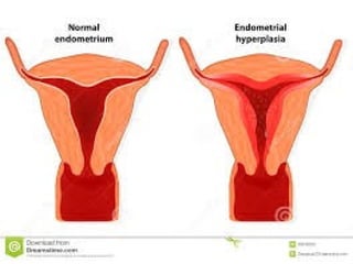conception and adaptation to preg.pptx,,