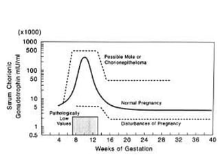 conception and adaptation to preg.pptx,,