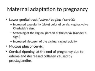 Maternal adaptation to pregnancy
• Lower genital tract (vulva / vagina / cervix):
– Increased vascularity (violet color of cervix, vagina, vulva
Chadwick's sign.
– Softening of the vaginal portion of the cervix (Goodell's
sign.)
– Increased glycogen of the vagina, vaginal acidity.
• Mucous plug of cervix .
• Cervical ripening: at the end of pregnancy due to
edema and decreased collagen caused by
prostaglandins.
 