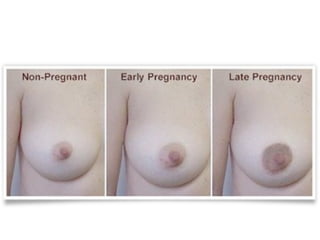 conception and adaptation to preg.pptx,,