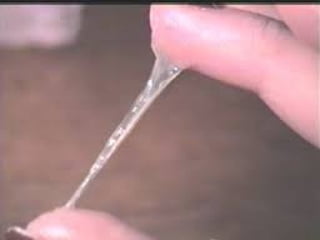 conception and adaptation to preg.pptx,,