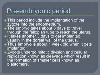  This period include the implantation of the
zygote into the endometrium.
 The embryo takes about 3 days to travel
through the fallopian tube to reach the uterus.
 It takes another 3 days to get implanted,
usually in the dorsal wall of the uterus.
 Thus embryo is about 1 week old when it gets
implanted.
 Zygote undergo mitotic division and cellular
replication known as cleavage which result in
the formation of smaller cells known as
blastomers.
 