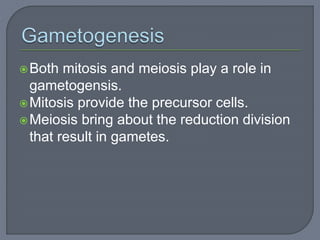 Both mitosis and meiosis play a role in
gametogensis.
Mitosis provide the precursor cells.
Meiosis bring about the reduction division
that result in gametes.
 