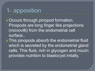Occurs through pinopod formation.
Pinopods are long finger like projections
(microvilli) from the endometrial cell
surface..
This pinopods absorb the endometrial fluid
which is secreted by the endometrial gland
cells. This fluid, rich in glycogen and mucin
provides nutrition to blastocyst intially.
 