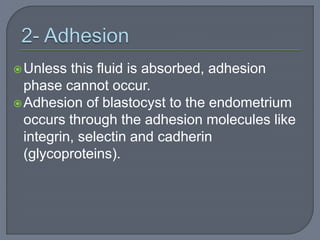 Unless this fluid is absorbed, adhesion
phase cannot occur.
Adhesion of blastocyst to the endometrium
occurs through the adhesion molecules like
integrin, selectin and cadherin
(glycoproteins).
 