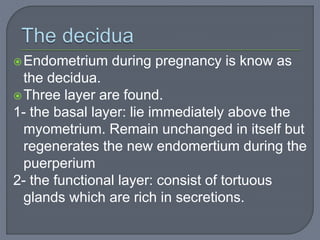 Endometrium during pregnancy is know as
the decidua.
Three layer are found.
1- the basal layer: lie immediately above the
myometrium. Remain unchanged in itself but
regenerates the new endomertium during the
puerperium
2- the functional layer: consist of tortuous
glands which are rich in secretions.
 