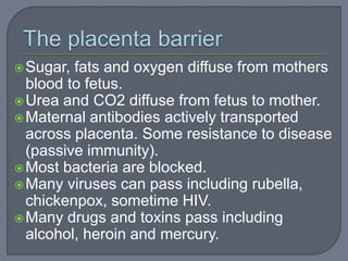 Sugar, fats and oxygen diffuse from mothers
blood to fetus.
Urea and CO2 diffuse from fetus to mother.
Maternal antibodies actively transported
across placenta. Some resistance to disease
(passive immunity).
Most bacteria are blocked.
Many viruses can pass including rubella,
chickenpox, sometime HIV.
Many drugs and toxins pass including
alcohol, heroin and mercury.
 