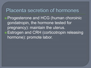 Progesterone and HCG (human choroinic
gondatropin, the hormone tested for
pregnancy): maintain the uterus.
Estrogen and CRH (corticotropin releasing
hormone): promote labor.
 